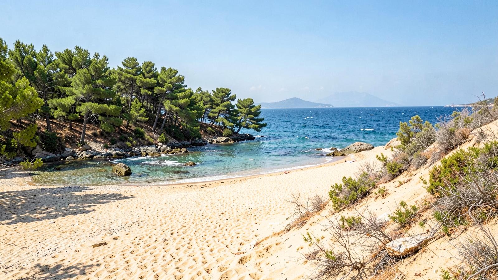 Καλόγρια