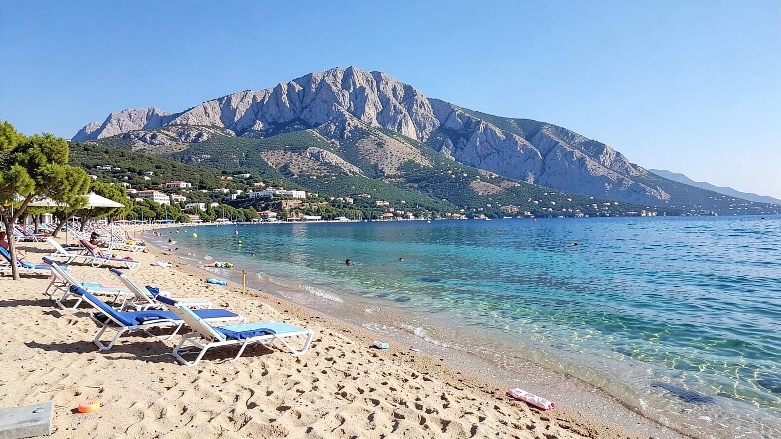 Λεπτοκαρυά