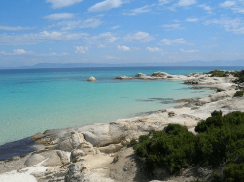 καβουρότρυπες