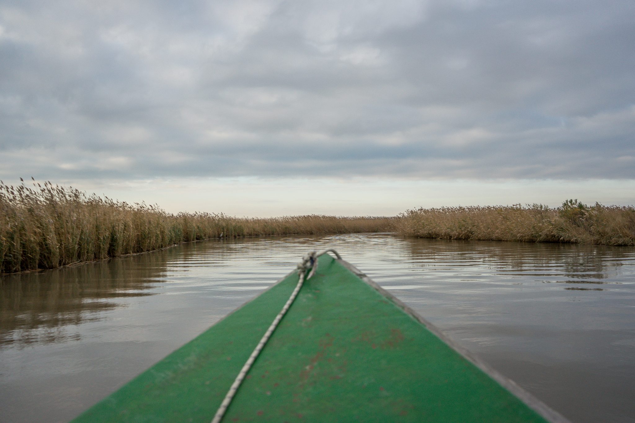 plava delta evrou
