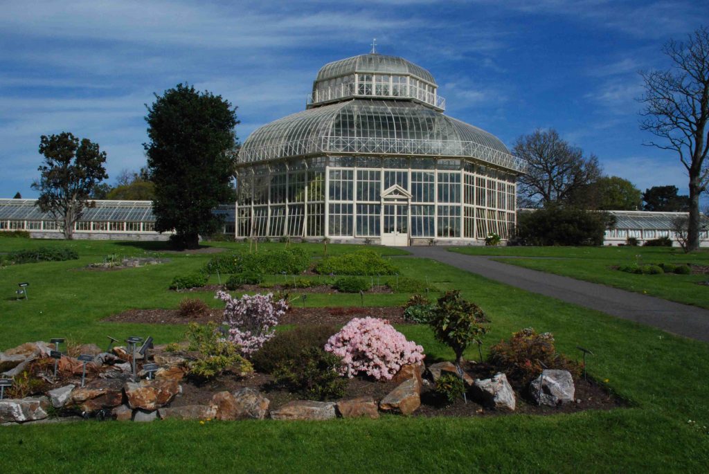 palm-house-dublin