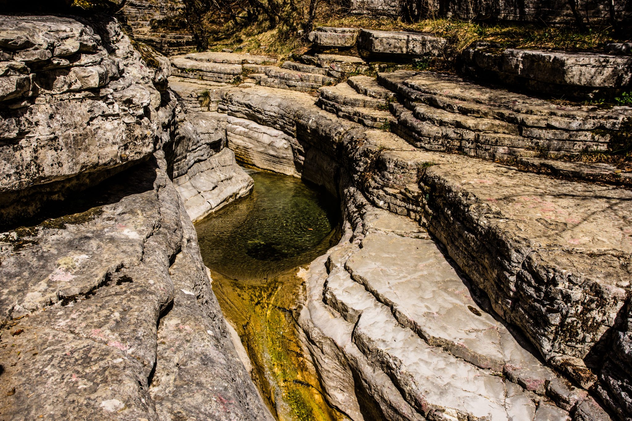 κολυμπηθρες στο παπιγκο