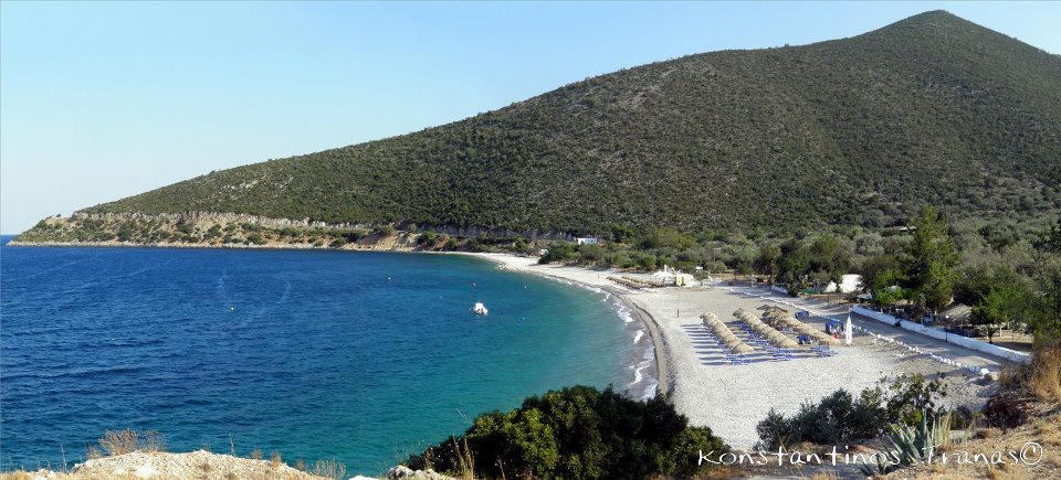 κυνουρια