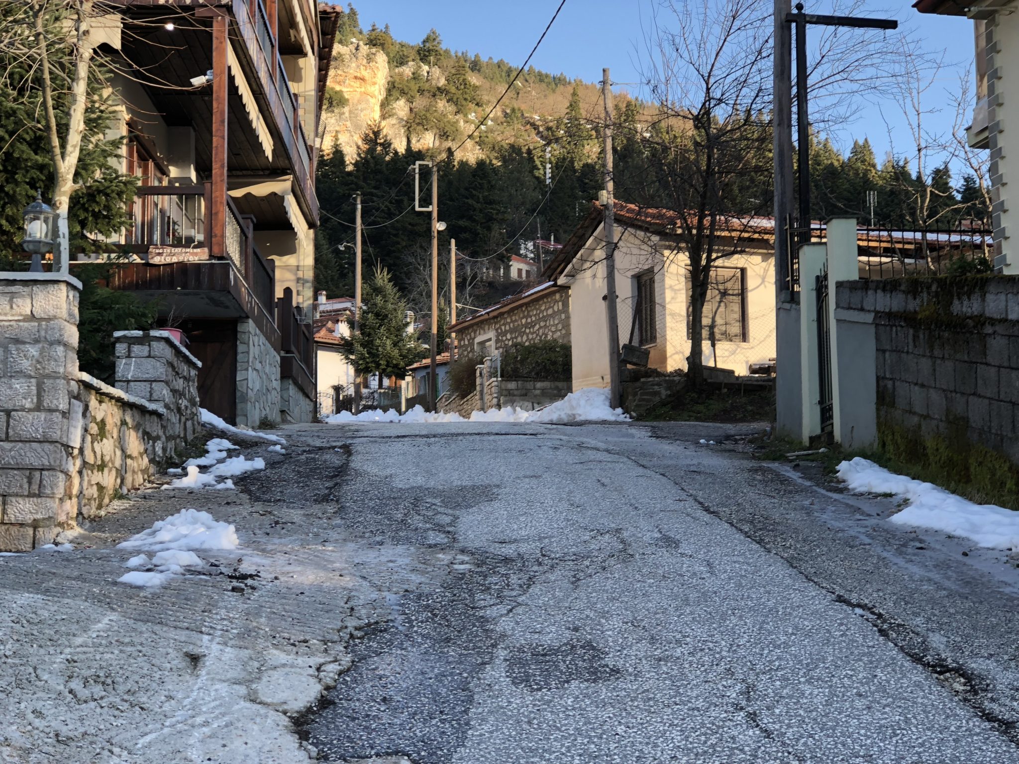 ελατη τρικαλων