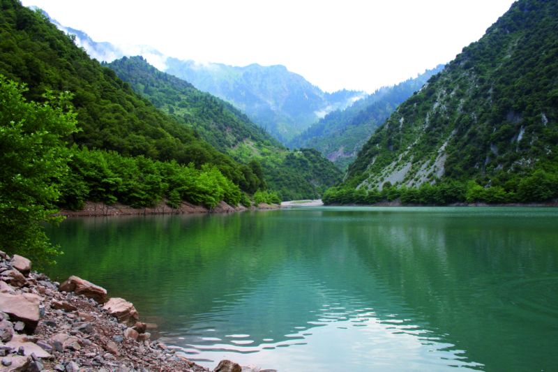 αργιθεα καρδιτσας