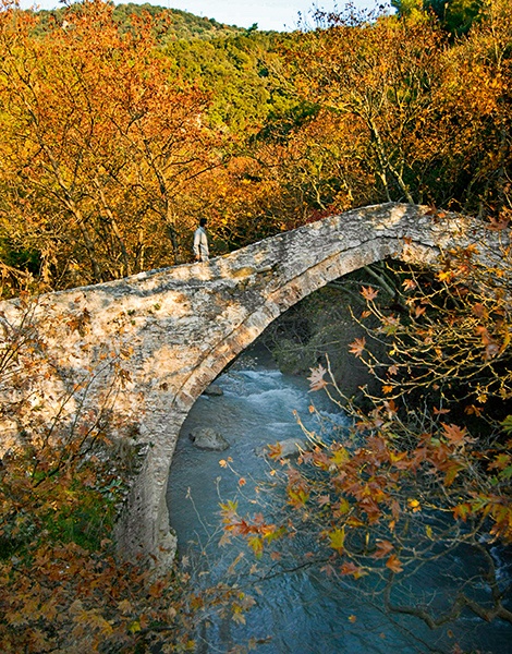 arkadia