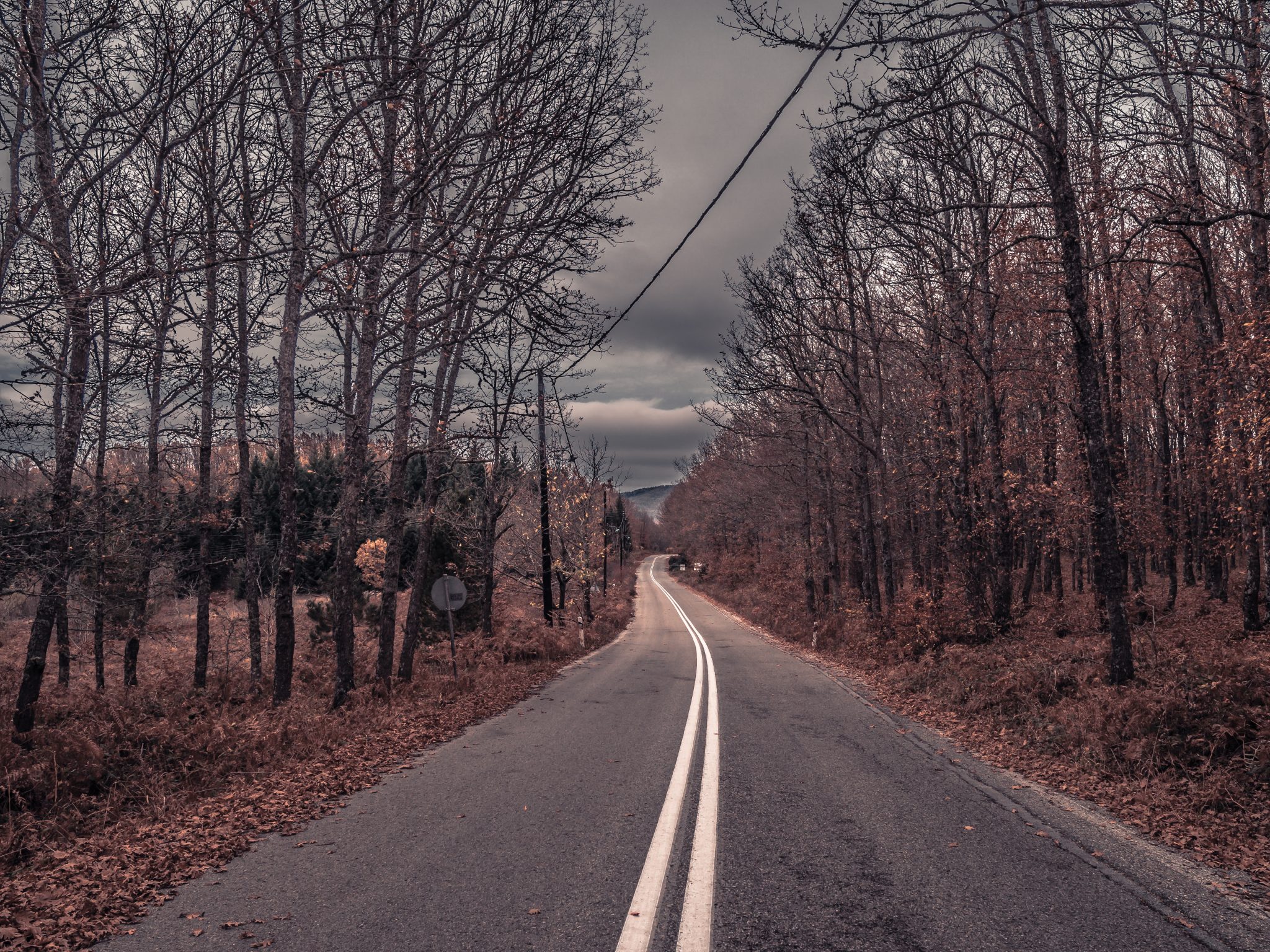 Πανεπιστημιακό δάσος Ταξιάρχη