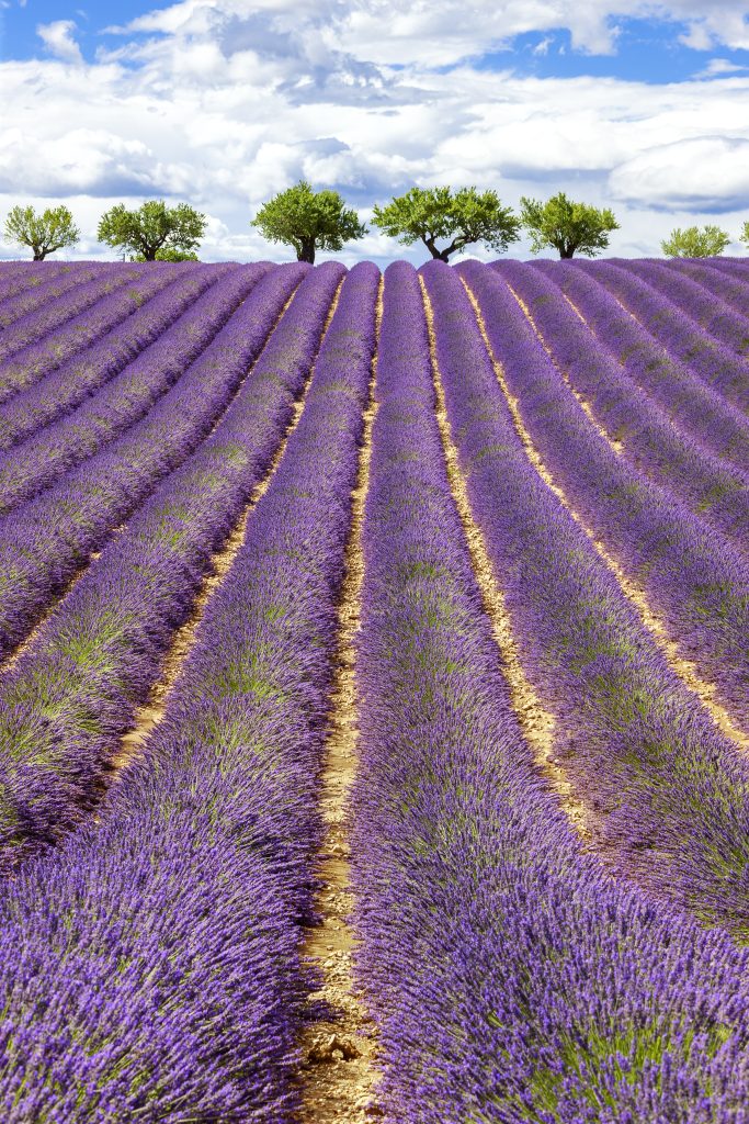 provence-france-scaled